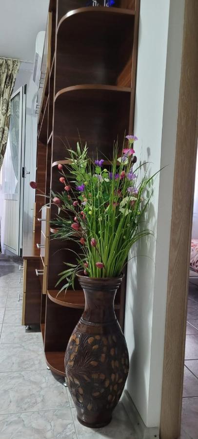 בוקרשט Brancoveanu Apartament'S מראה חיצוני תמונה